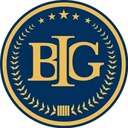 Business & Immigration Group, PLLC logo