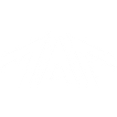 Big River Group Pty Ltd logo