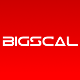 Bigscal Technologies Pvt Ltd logo