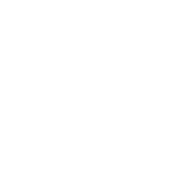 BSV Digital Displays LLC logo