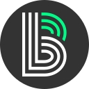 Big Brothers Big Sisters Of Nyc logo