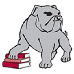 BIG SPRING INT logo