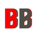 bigstarbio.com logo