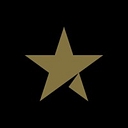 Big Star Business Management Ltd logo