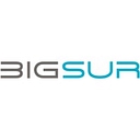 Bigsur Partners logo