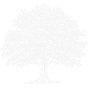 Big Trees Nursery, Inc. logo