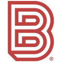 Big Visual Group logo