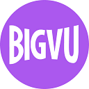 Bigvu logo
