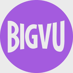 BigVu