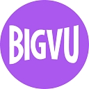 Favicon of BIGVU