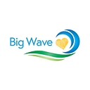 Big Wave Group logo