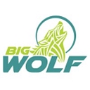 bigwolfmarketing.co.uk icon