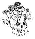 Logo for billcrisafi.com