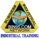 bin95.com icon