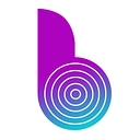 Binary Semantics Limited logo