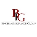 Bingham Insurance Group, Llc logo