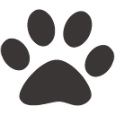 Bio Derm Laboratories, Inc. logo