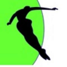 Biojunction Sports Therapy logo