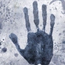Biometric Impressions logo