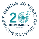 THE BIOMIMICRY INSTITUTE logo