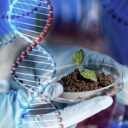 Bio S&T logo