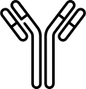 Biotoolomics Limited logo