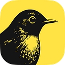 Favicon of Bïrch (Formerly Revealbot)