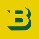 birchmeier-gruppe.ch icon