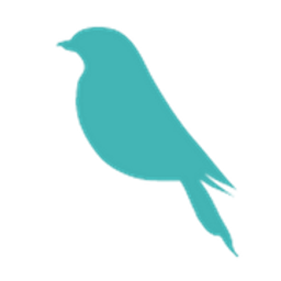 Birch Salon Co logo