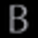 Birch Homes Limited logo