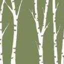 Birchwater Carp Lake logo