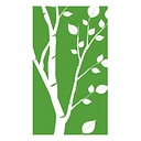 Birchwood Financial Partners, Inc. logo