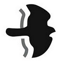 birdguides.com icon