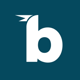 Birdie AI logo