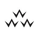 Logo for birdsofcondor.com