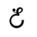 Favicon of Bird Sunglasses
