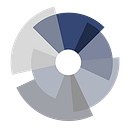 Birdview Insight Inc. logo