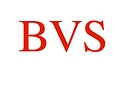 Birdview Skylights logo