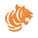 Birla Tyre logo