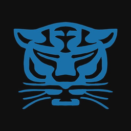 Birmingham Panthers Ltd logo