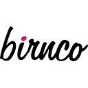 Birnco Financial Group logo