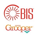 Bis   Technology For Your Information logo