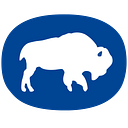 Bison
