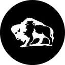 Bisondoors logo