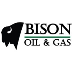 Bison Management Services logo