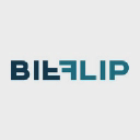 BitFlip