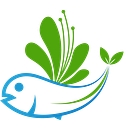 bitkibalik.com icon