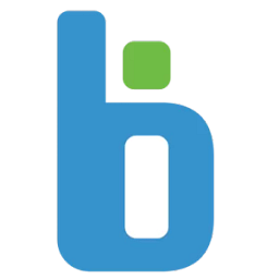 BITNET Infotech logo