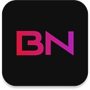 BitNile Holdings