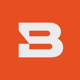 Bitsight logo
